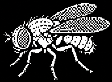 White pixel-art fruit fly